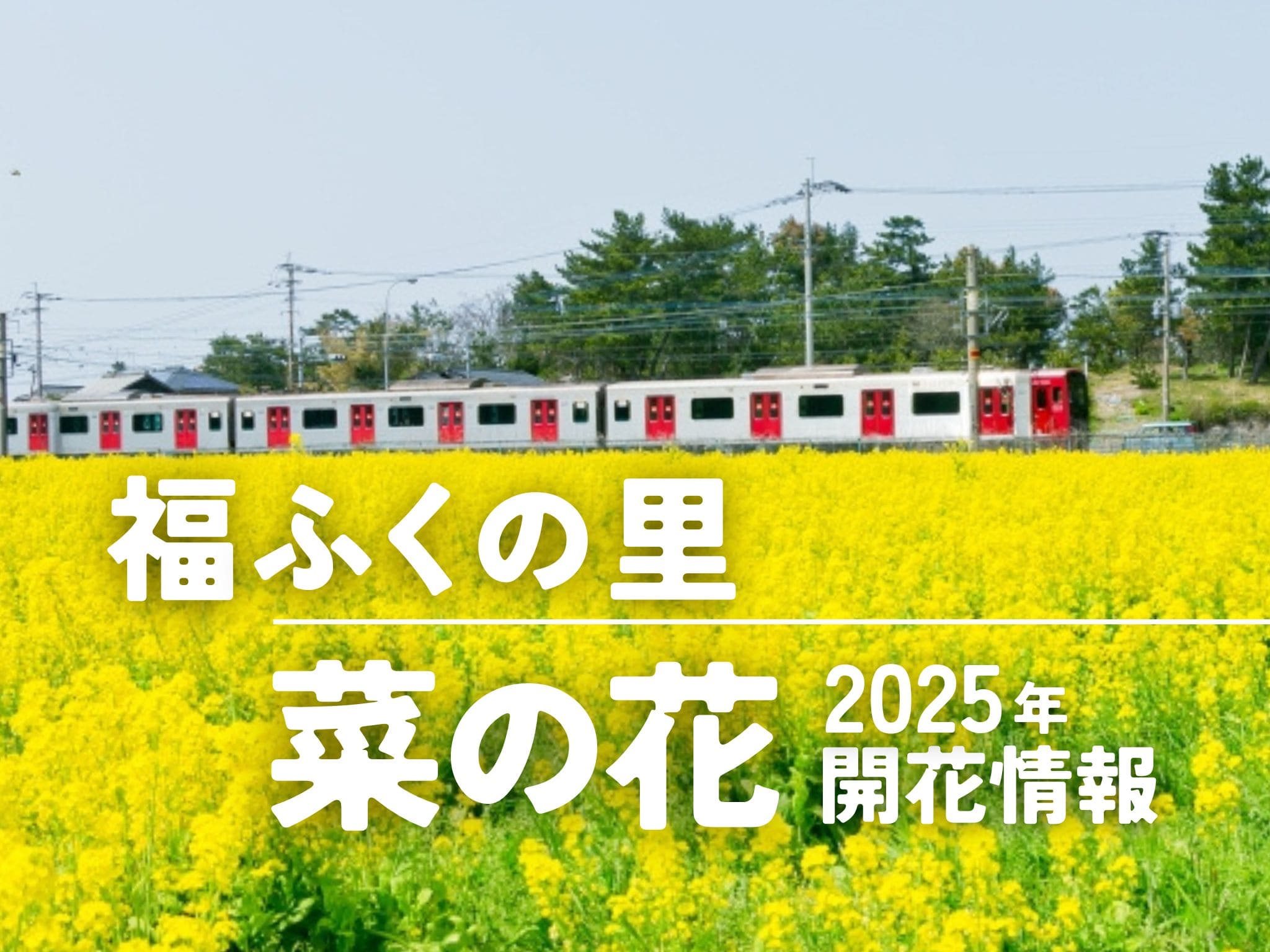 福 ふく の 里